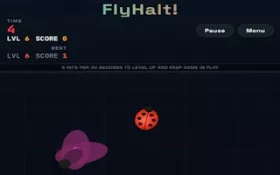 FlyHalt!