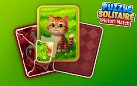 Puzzle Solitaire Picture Match