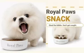 Royal Paws Snack