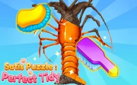 SatisPuzzle Perfect Tidy
