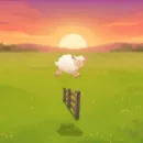 Sleepy Flock