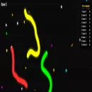 Snake Fight